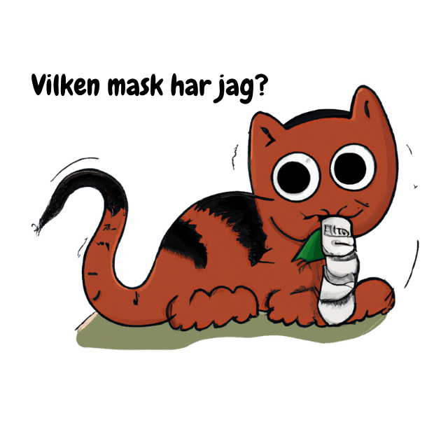 Hur man identifierar maskar i en katt?